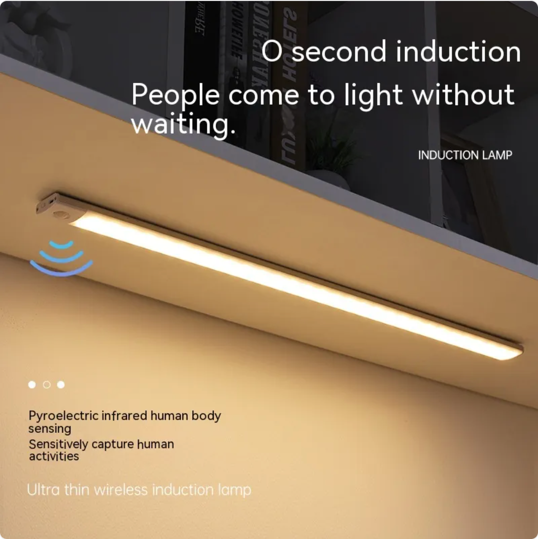 EcoSmart Wireless Sensor Light