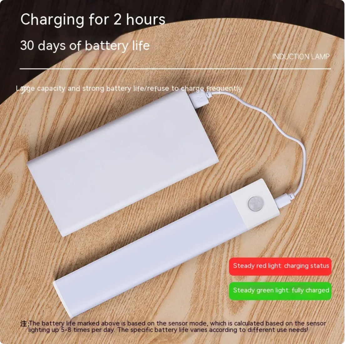 EcoSmart Wireless Sensor Light